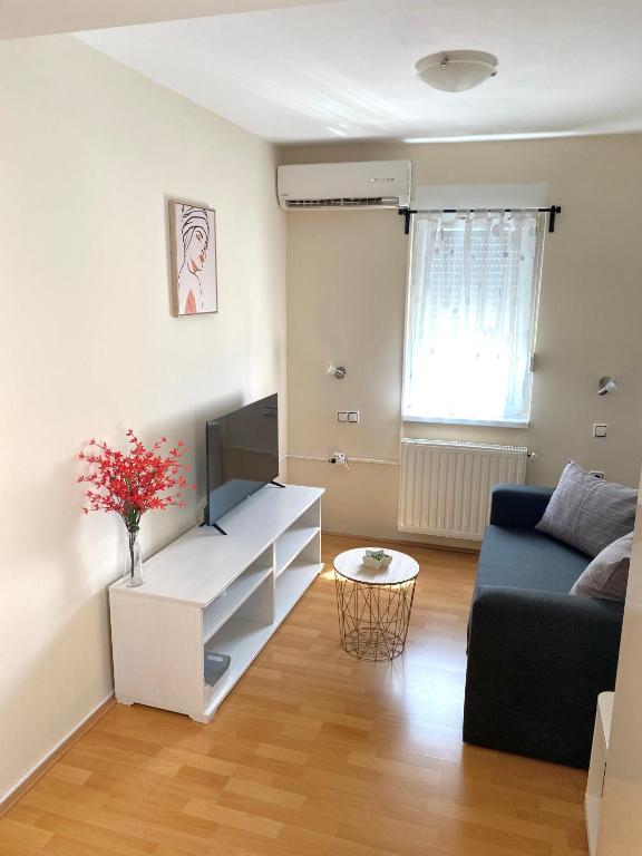 a living room with a couch and a table at Apartman Lucija in Gradići