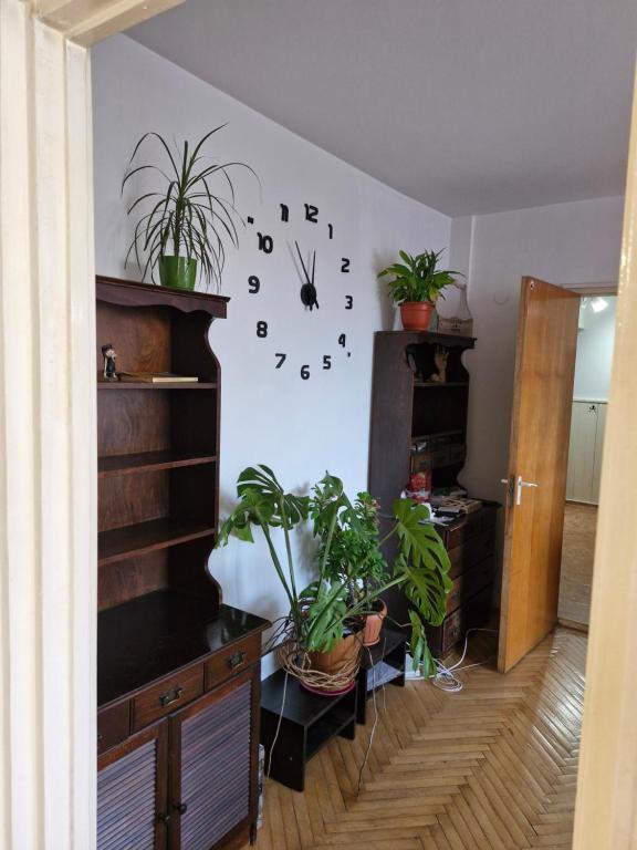 ein Zimmer mit Pflanzen und einer Uhr an der Wand in der Unterkunft Victoriei Residence in Braşov