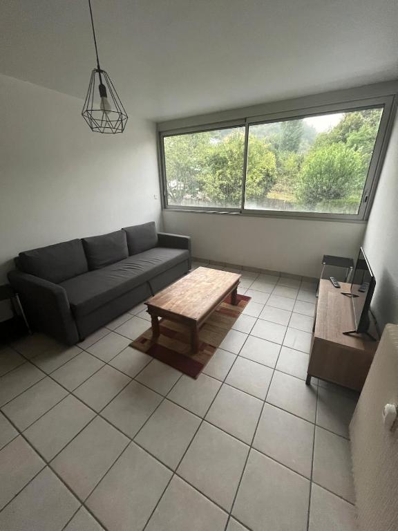 ein Wohnzimmer mit einer Couch und einem Couchtisch in der Unterkunft Escapade nature et bien-être in Royat