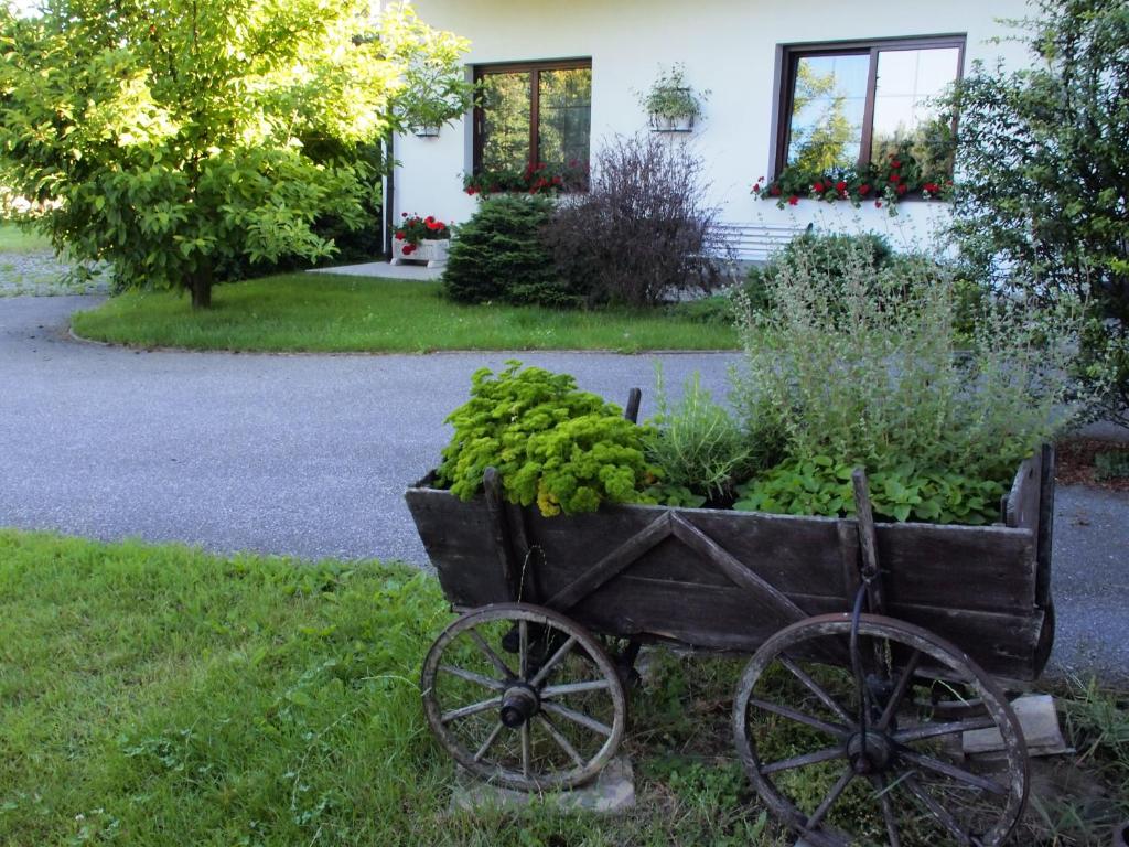 Zahrada ubytování Apartmány pod Kozákovem
