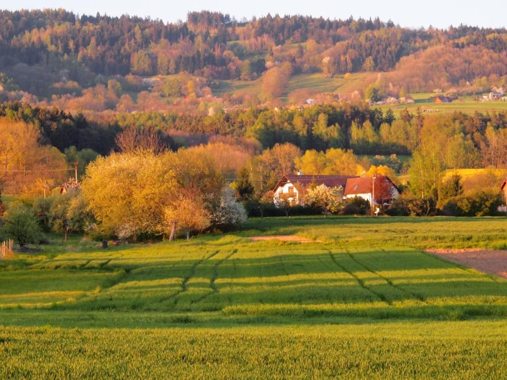 Příroda nedaleko apartmánu