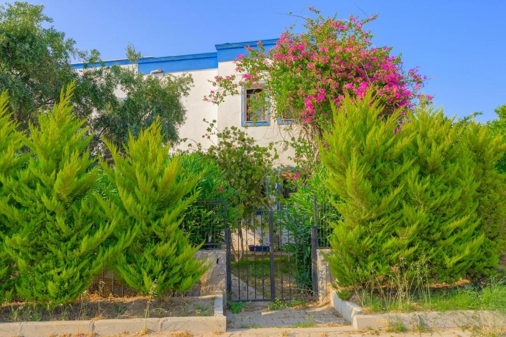 Κήπος έξω από το Villa Saklıbahçe - Bodrum