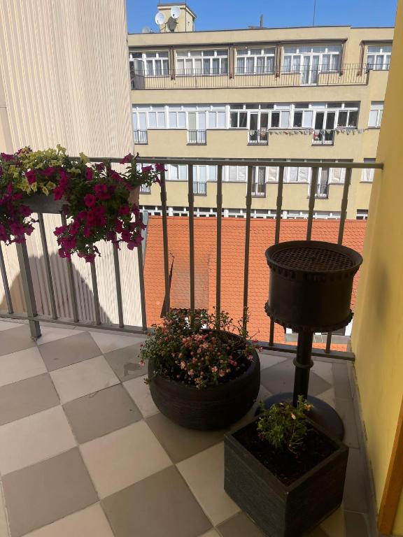 4 Elements Apartments - Resim 26