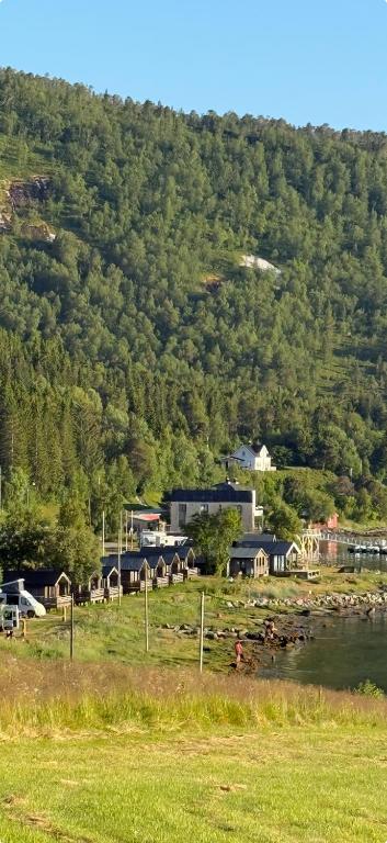 Γενική θέα στο βουνό ή θέα στο βουνό από  αυτό το κάμπινγκ