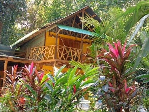 Κήπος έξω από το Casa Moabi