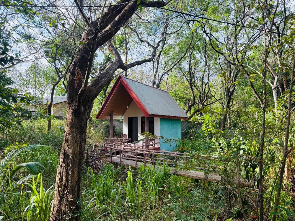 a small house in the middle of a forest at Zora Resort in Habarana