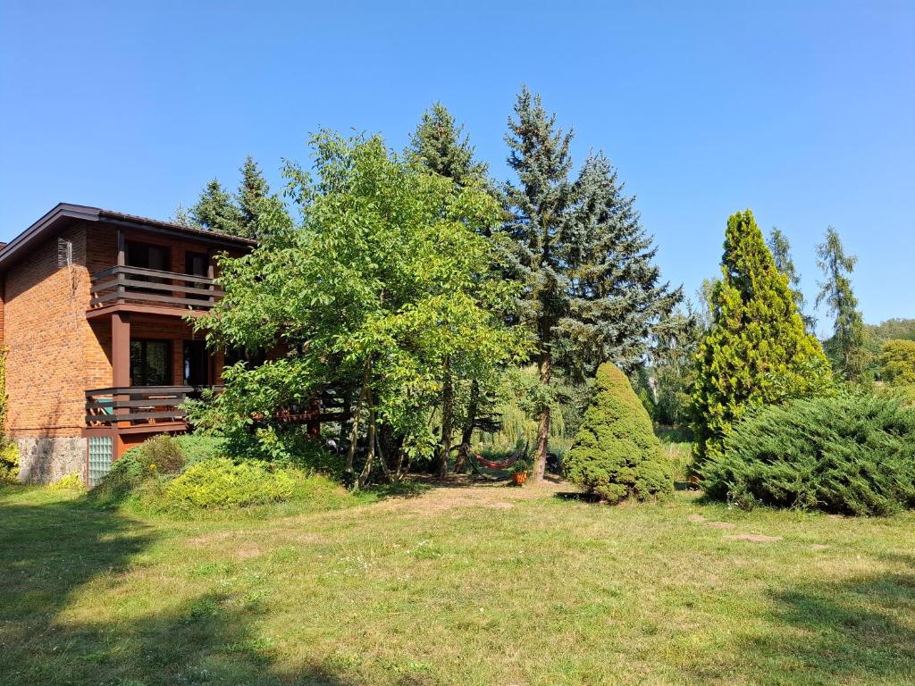 a house on a hill with trees in front of it at Dom Wakacyjny z ogromnym ogrodem in Witaszyn