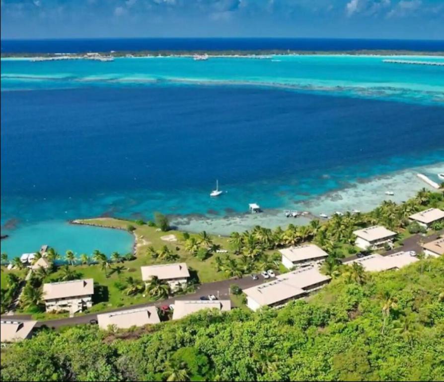 Charming beachfront studio - photo 2 - Bora Bora, Polynésie