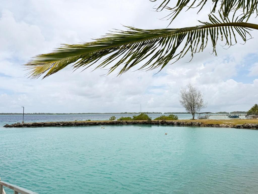 Charming beachfront studio - photo 10 - Bora Bora, Polynésie