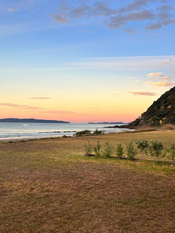 a field with the ocean in the background at Bella Vista on the Beach in Matarangi