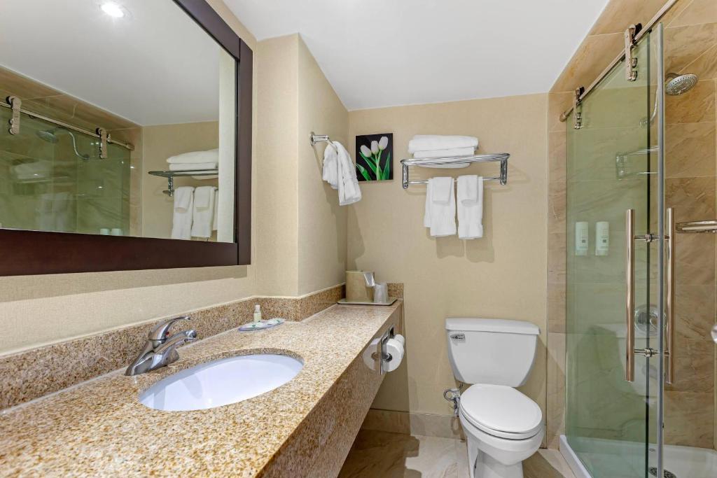 Quality Inn & Suites photo