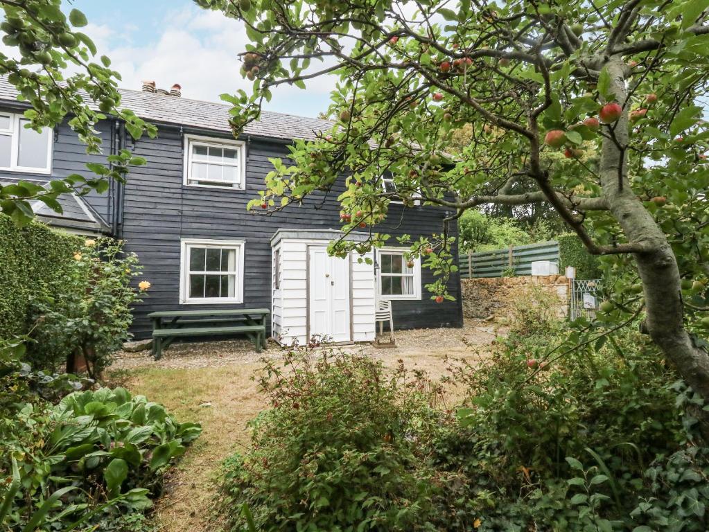 Aed väljaspool majutusasutust Chenies