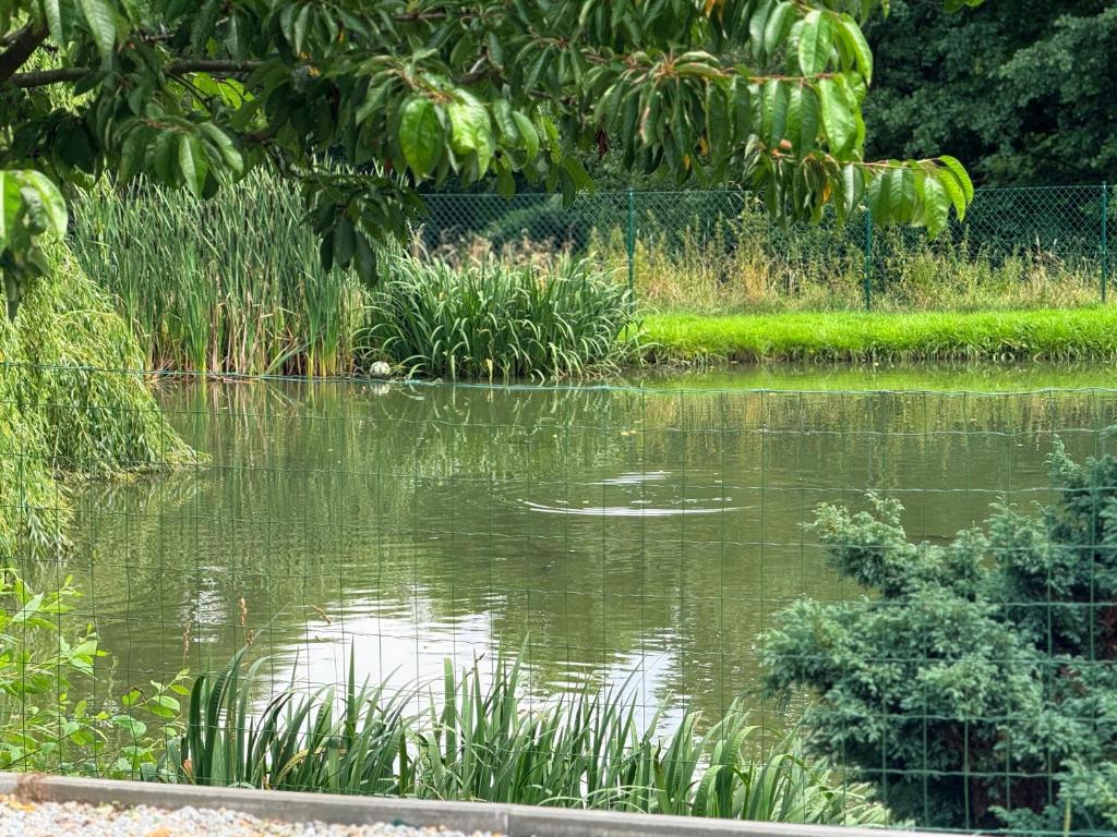 Photo de la galerie de l'établissement Restauracja i Noclegi Izba Rybacka w Krainie Wygasłych Wulkanów, à Podgórki