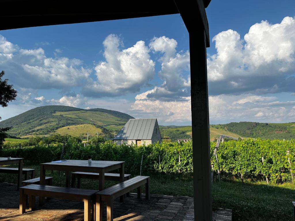 a picnic table with a view of a vineyard at Csernus Doki bor-grillterasza és bungallói in Eger