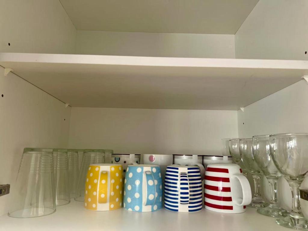 Handy Riccarton New Home Walk to Westfield, Tower Junction & Close to Hagley Park