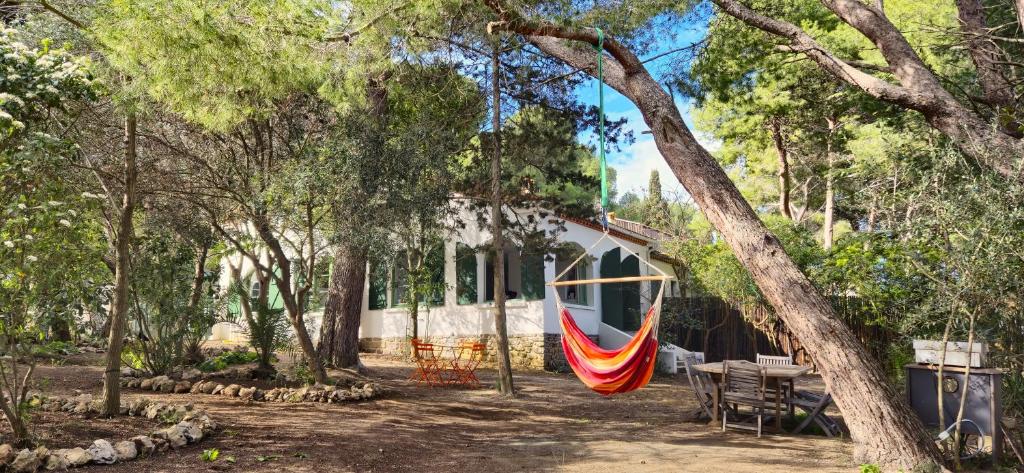 Κήπος έξω από το CasAlegria La Franqui