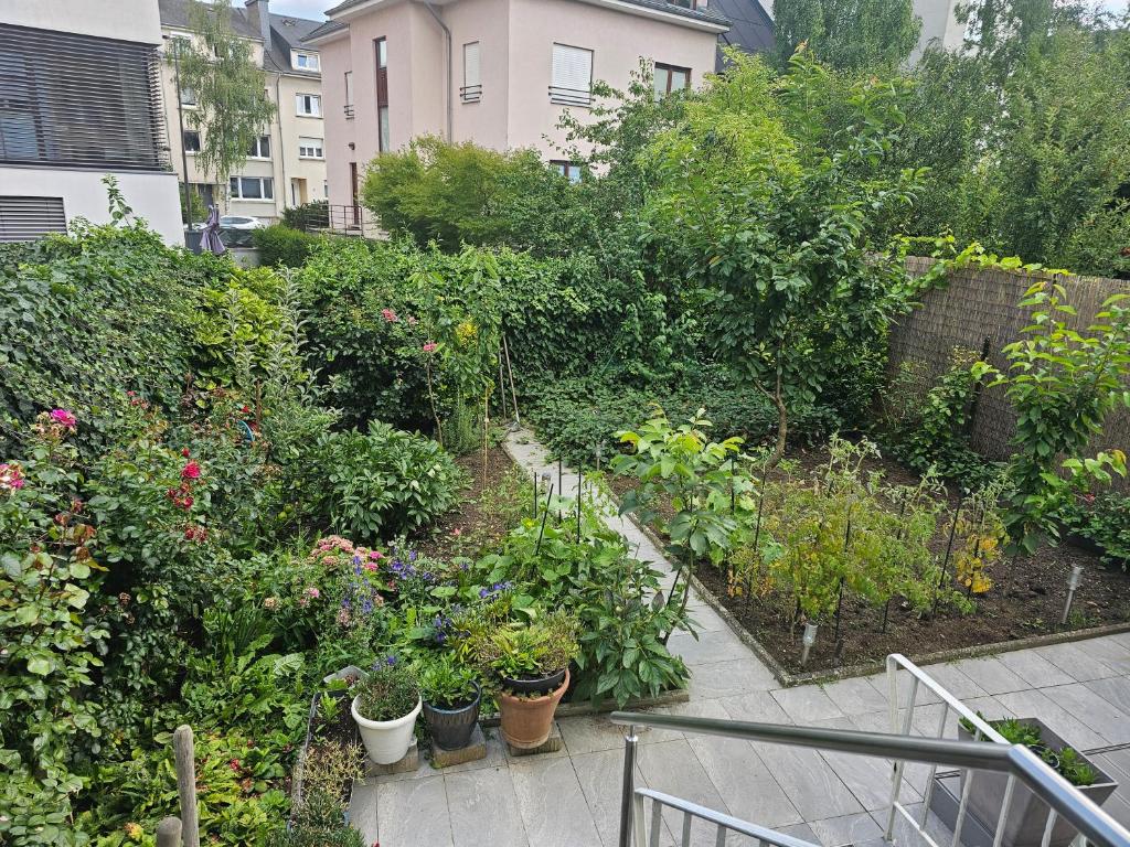 excellent apartement Luxembourg - Resim 18