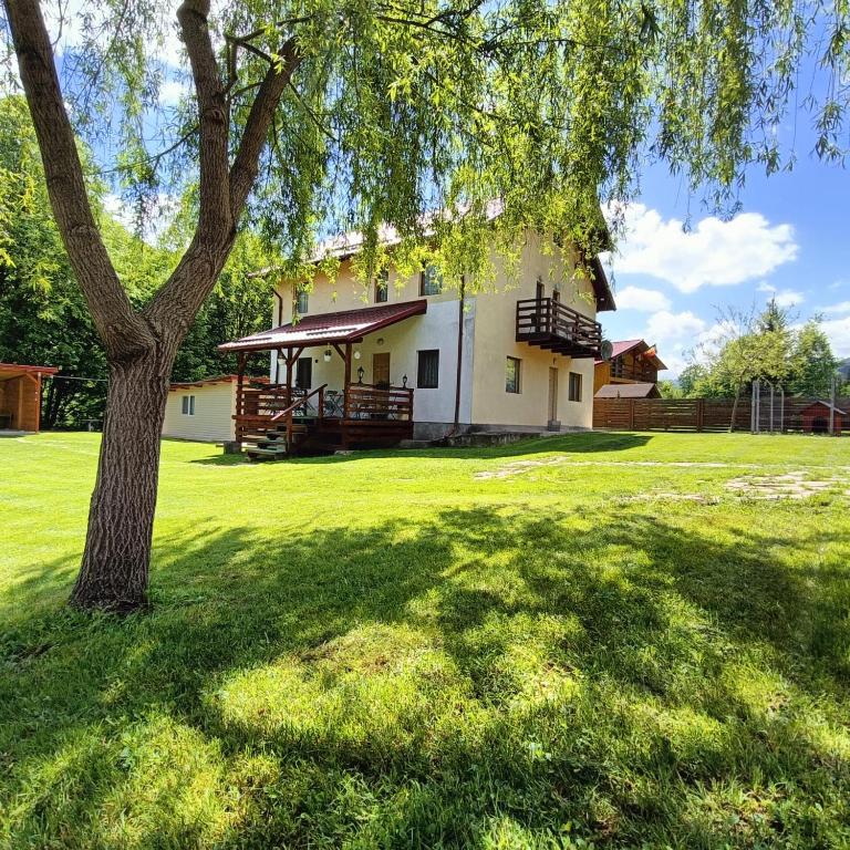 a house with a tree in the yard at Vila Carmen in Cazaci