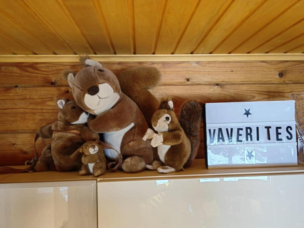 Galeriebild der Unterkunft Brīvdienu māja Vāverītes 