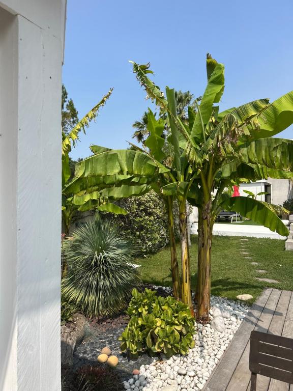 Φωτογραφία από το άλμπουμ του Villa Le Sud σε Cassis