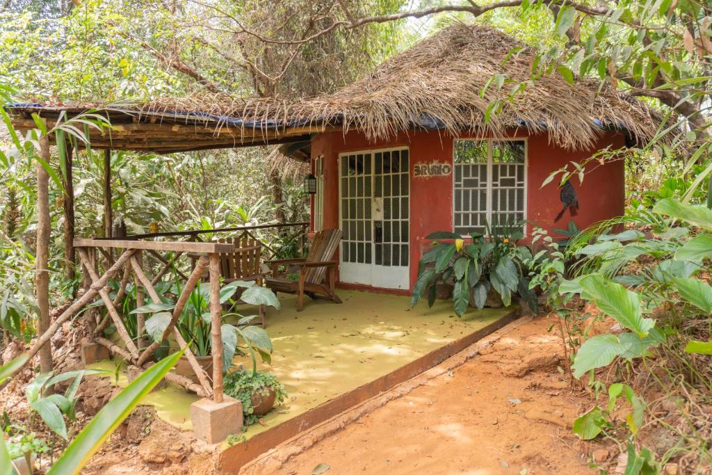 Zahrada ubytování Tacugama Chimpanzee Sanctuary