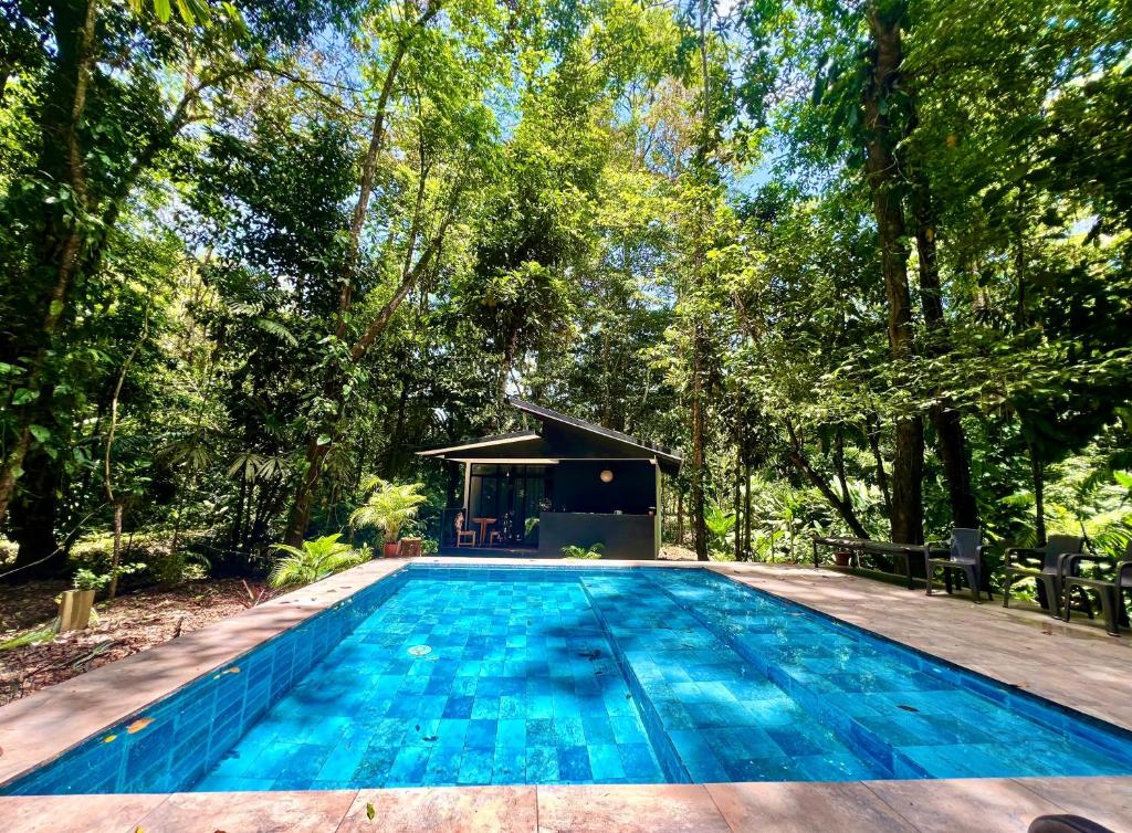 コクレスにあるFinca Ardilla Jungle Lodgeの森の中にあるパビリオン付きのプール
