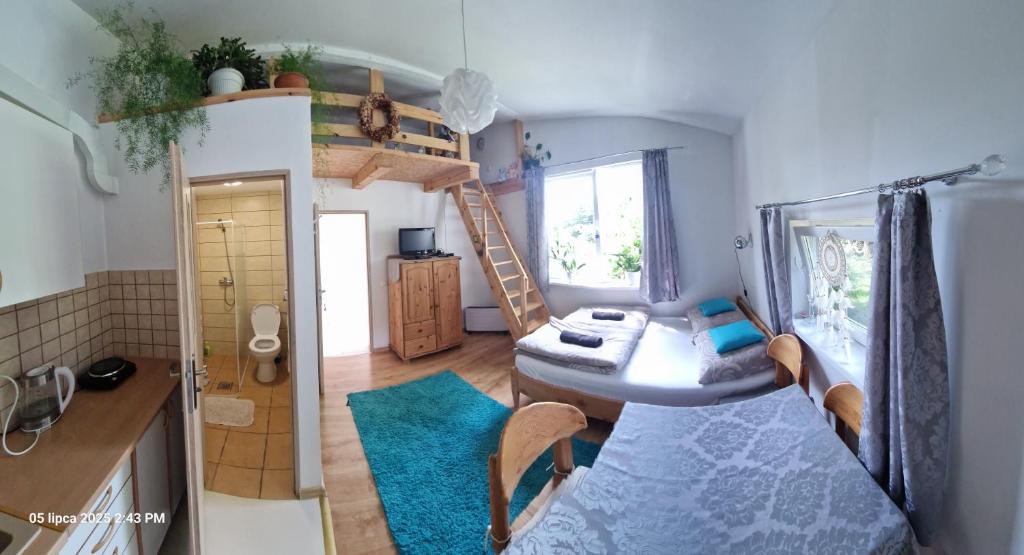 Η κουζίνα ή μικρή κουζίνα στο Przy Stawach Apartamenty&Agroturystyka