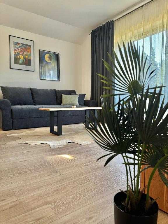 a living room with a couch and a potted plant at Cara Grand Chalet in Braşov