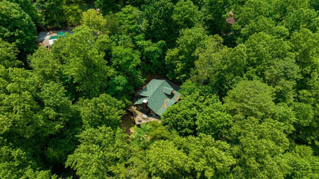 eine Luftaufnahme eines Hauses mitten in einem Wald in der Unterkunft Sierras Mountain Retreat by American Patriot Getaways in Line Spring