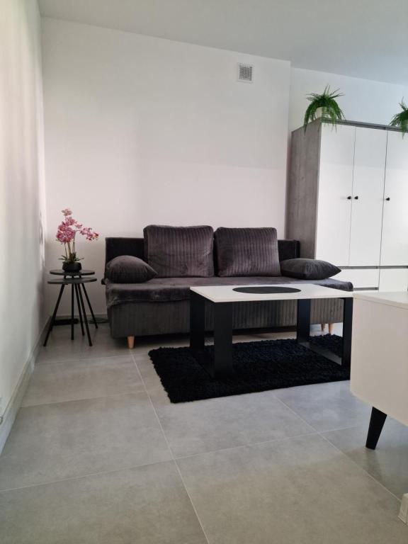 Fotografie z fotogalerie ubytování Apartament Arkadowa v destinaci Tychy