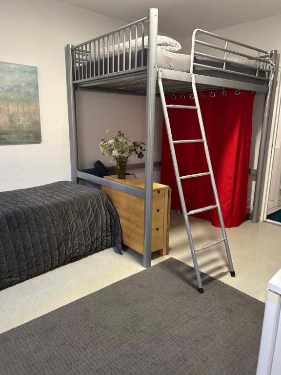 Studio sur cour au coeur de Colmar – photo 6