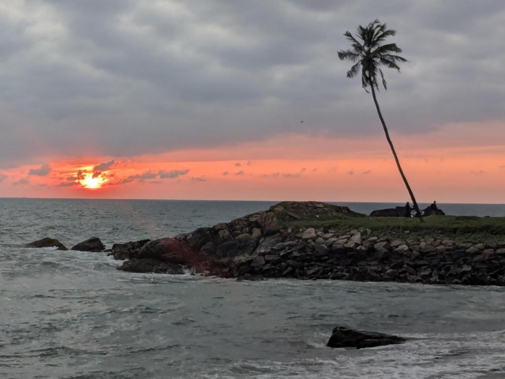 Φυσικό τοπίο κοντά σε αυτό το διαμέρισμα