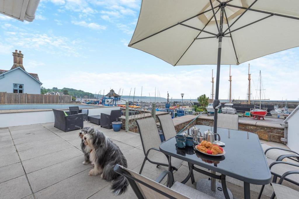 a dog sitting on a patio with a table and an umbrella at Landfall in Saundersfoot
