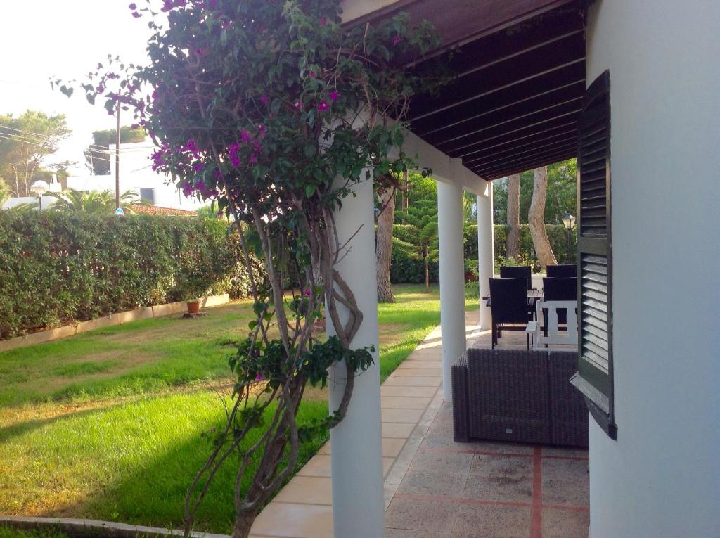 a porch with a plant on the side of a house at CALA BLANCA-TORRE BELLVER in Cala Blanca