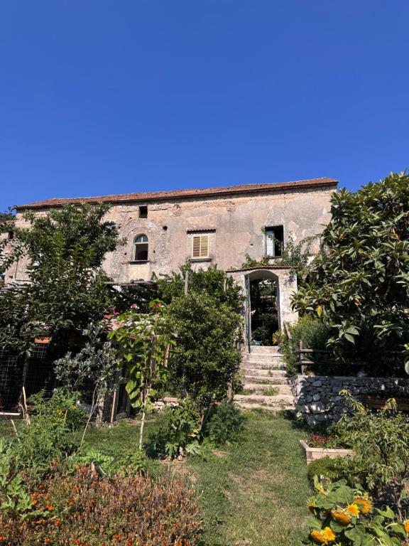 Κήπος έξω από το Felicia's Country House