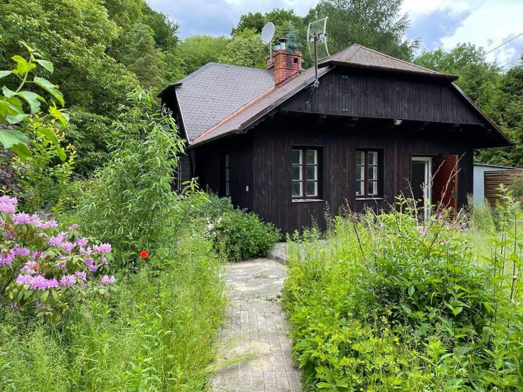 Κήπος έξω από το Chata Wróżki Mrozowej