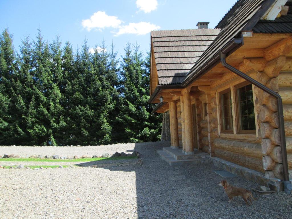 Noclegi Pod Małym Królem - 15