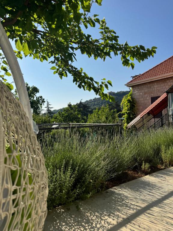 a field of tall grass next to a building at Yassmina Guest House in Maasser El Chouf