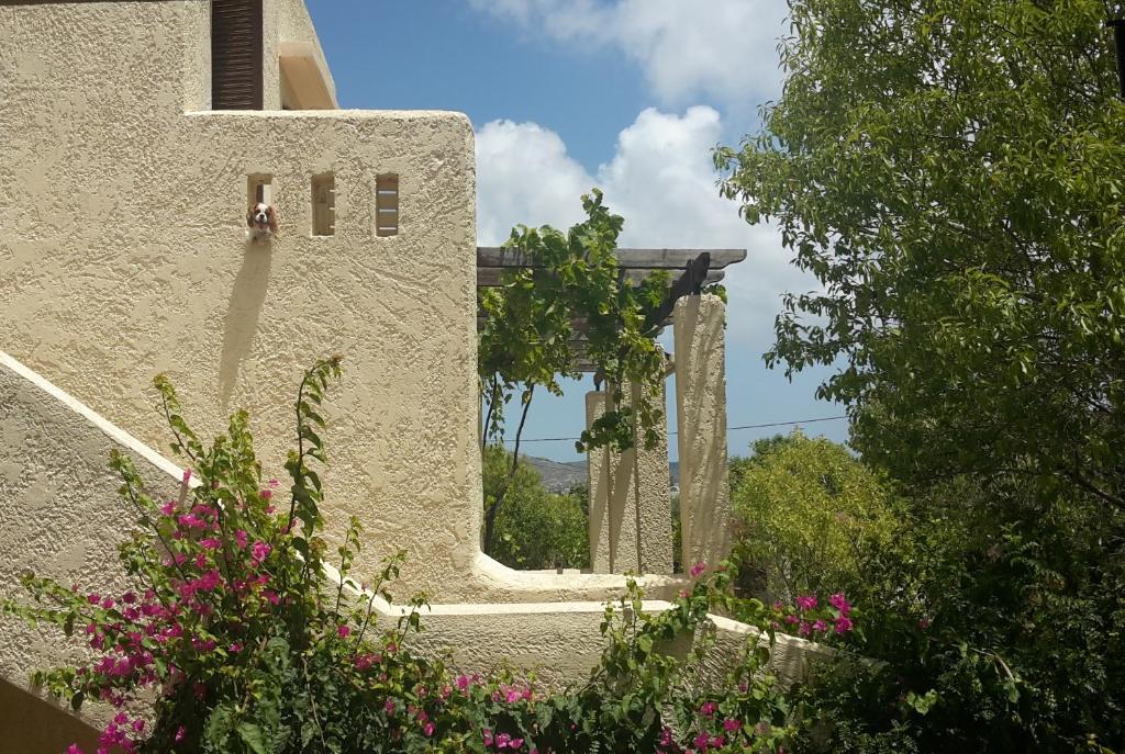 a person in a window of a building with pink flowers at Ζini 2 in Kefalos