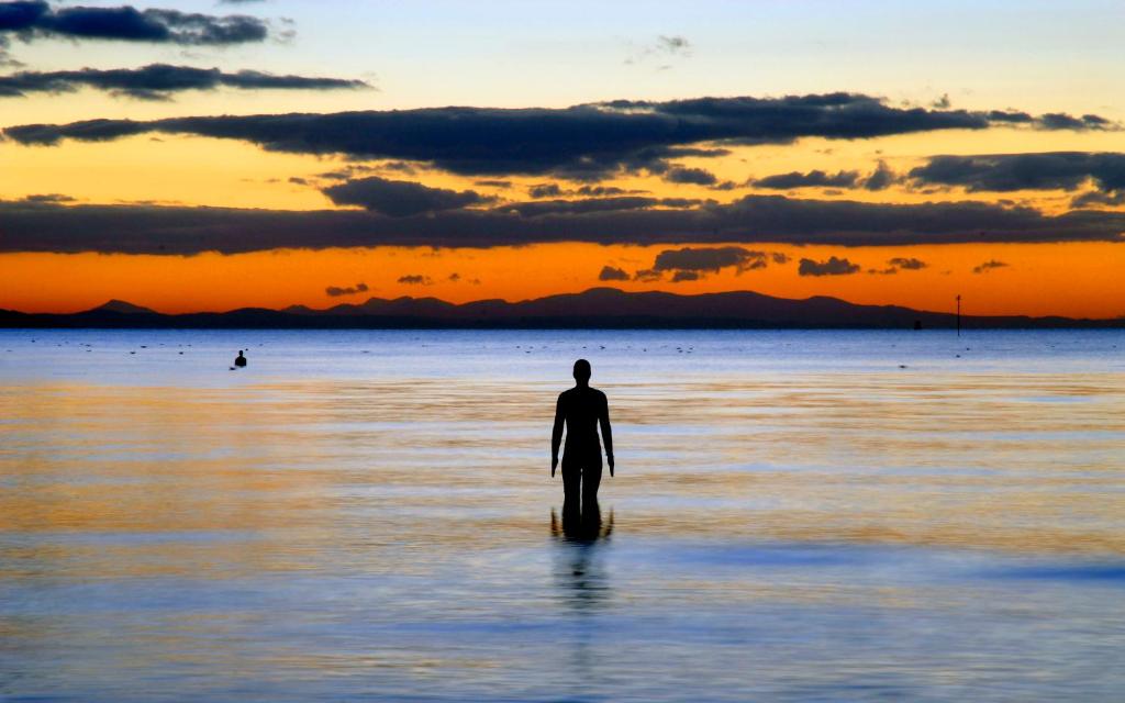 The Royal Hotel - Resim 38