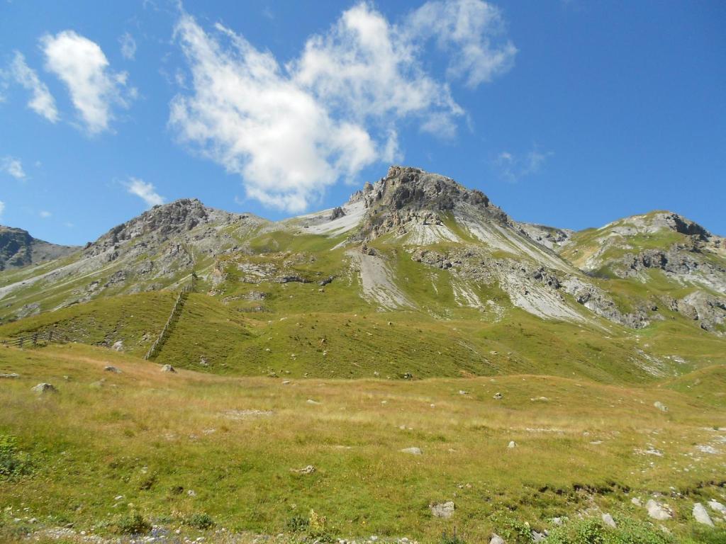 uma colina relvada com uma montanha ao fundo em Wastlhof em Malles Venosta