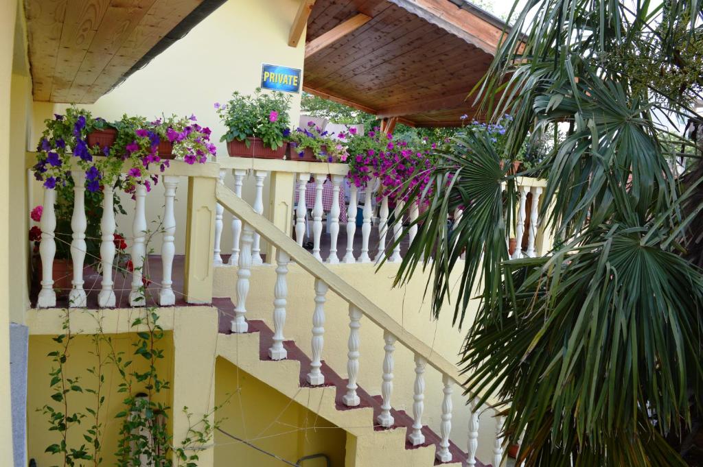 Zahrada ubytování Hostel David