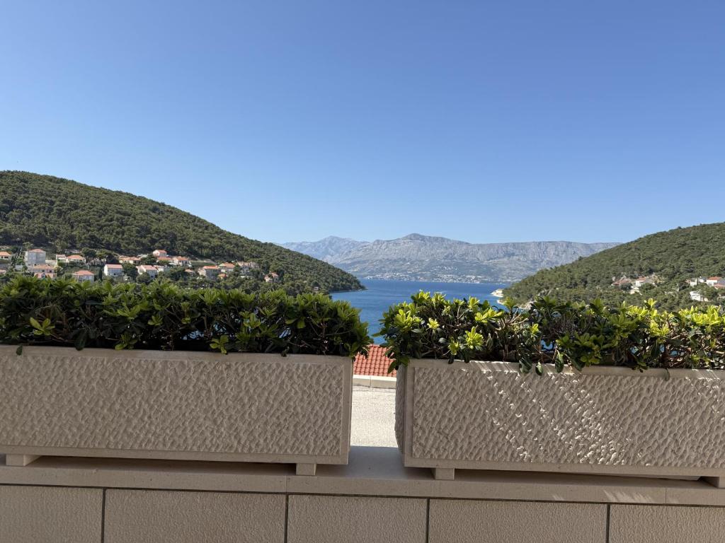 Tres macetas con plantas en una pared con vista al agua. en Apartman Ružica, en Pučišća