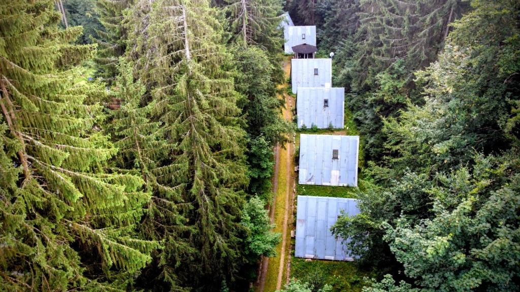 an aerial view of a forest with houses and trees at Hütte Tannengrün - Ruheort mitten im Wald in Eibenstock