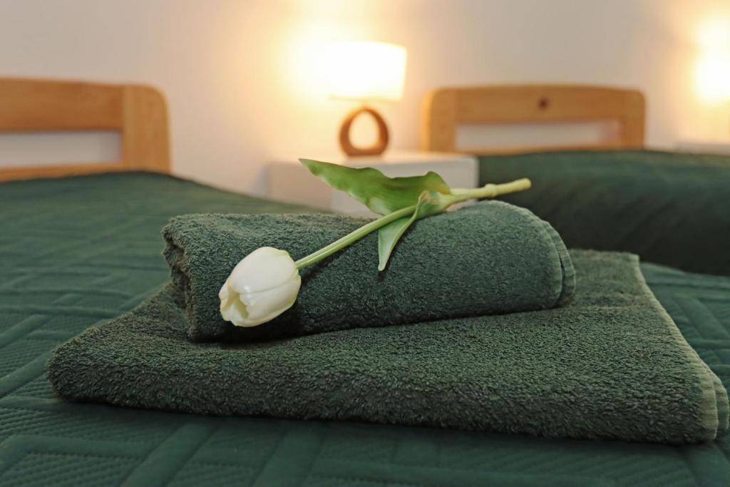 a flower sitting on top of a green towel on a bed at Centrum Edukacji Ekologiczno-Turystycznej in Myczków