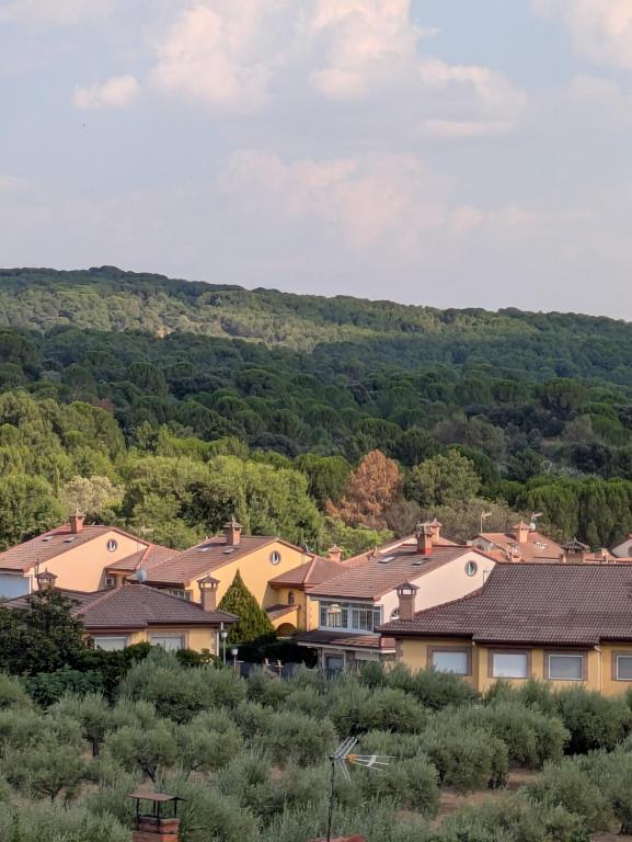 a group of houses on a hill with trees at Casa Sol y Valle in Sotillo de la Adrada