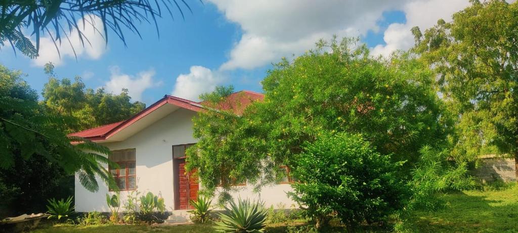 En have udenfor Nungwi Sannka House