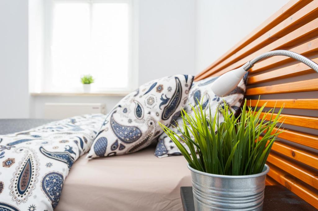 Apartment Zamulkowa Katowice - 12