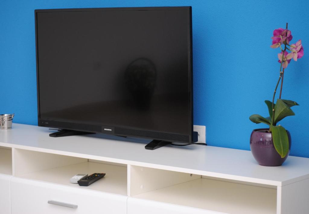 Televízia a/alebo spoločenská miestnosť v ubytovaní Apartments Valeria