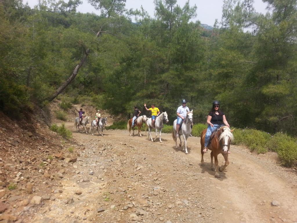 Kép Oranj Ranch Hotel szállásáról Kemerben a galériában